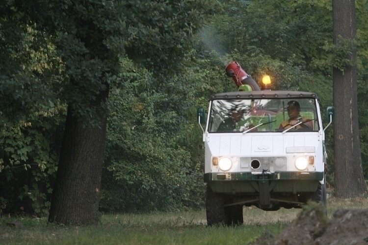 AKCIJA SUZBIJANJA ODRASLIH FORMI KOMARACA