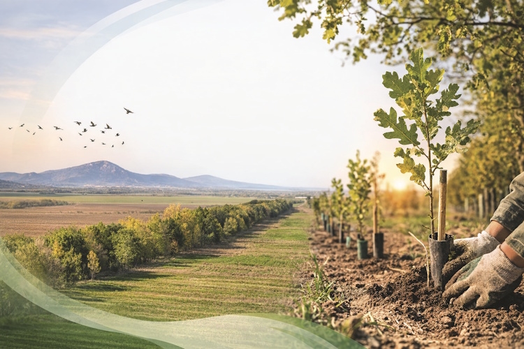 АКЦИЈА САДЊЕ ВЕТРОЗАШТИТНОГ ПОЈАСА У ОКВИРУ ПРОЈЕКТА *ЕКО ПОЈАС – ПРИРОДНА ЗАШТИТА ЗА БУДУЋНОСТ*