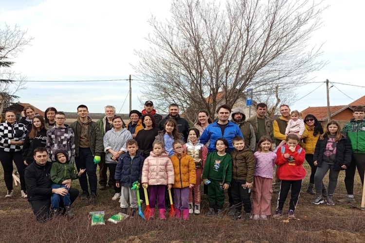 НА СРЕДИНШТАНСКОМ ПУТУ ПОСАЂЕНО 85 САДНИЦА ЧЕТИНАРА У ОКВИРУ ПРОЈЕКТА „И ЗИМА ВОЛИ ЗЕЛЕНО”