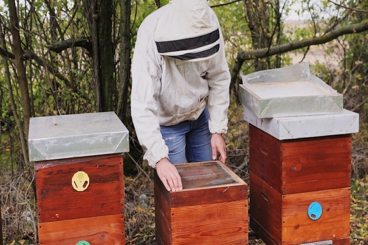 СПИСАК ПОЉОПРИВРЕДНИХ ГАЗДИНСТАВА РЕГИСТРОВАНИХ ЗА ПЧЕЛАРСТВО КОЈИ СУ ОСТВАРИЛИ ПОДСТИЦАЈНИХ СРЕДСТАВА У 2025.ГОДИНИ